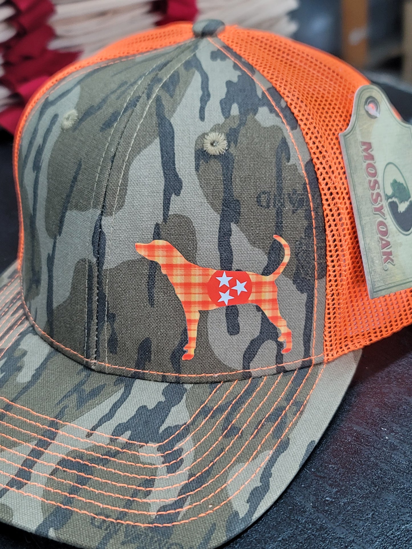 Smokey with Tri-Star  on Camo Cap