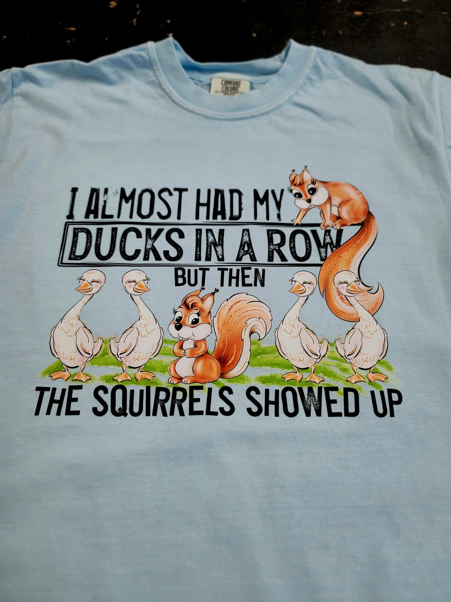 Ducks in a Row, Comfort Colors 1717 Tee