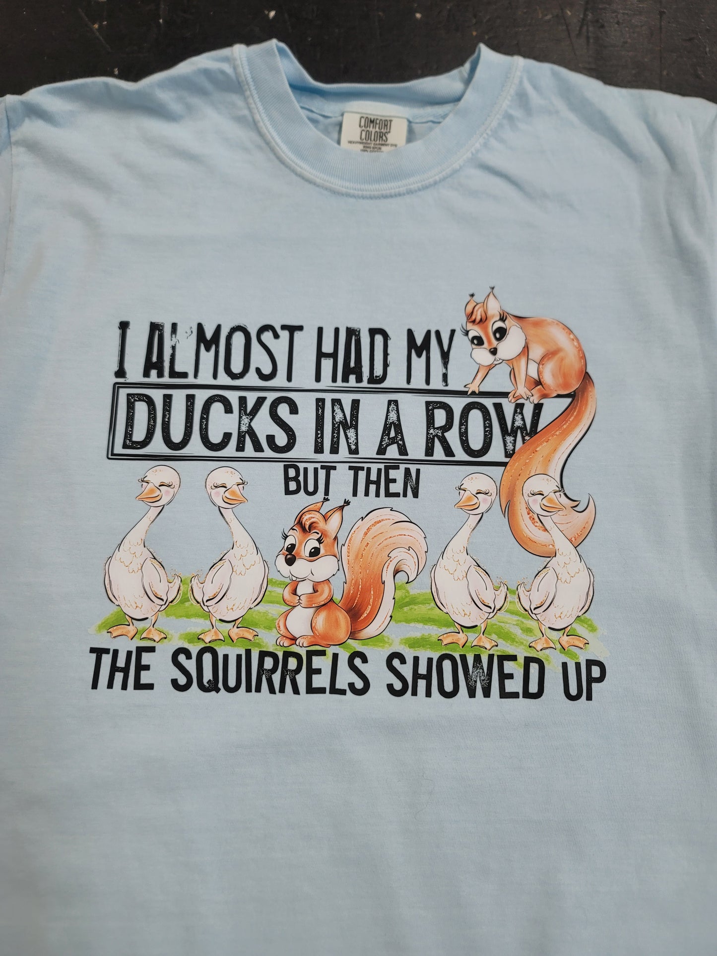 Ducks in a Row, Comfort Colors 1717 Tee
